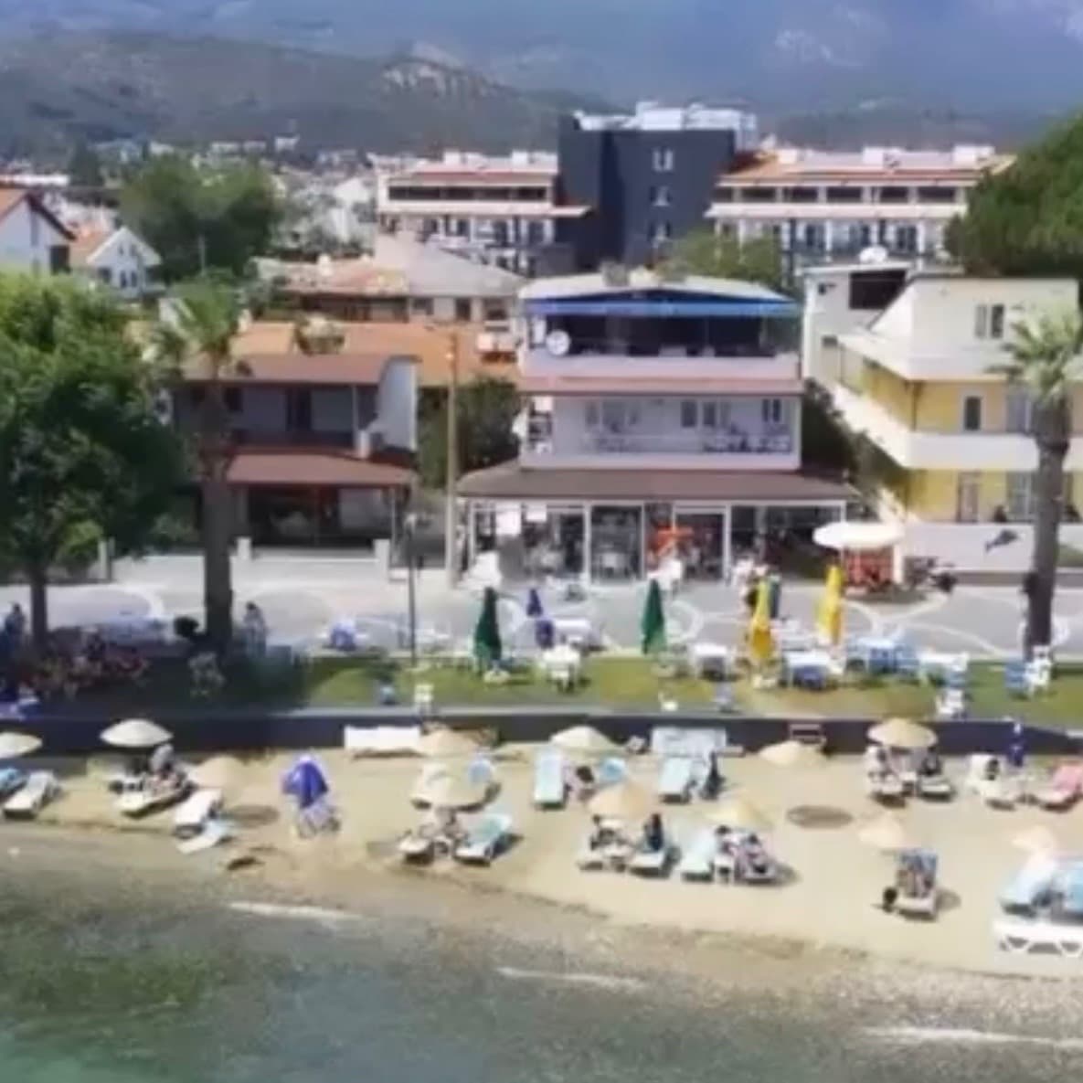Doğan kafe